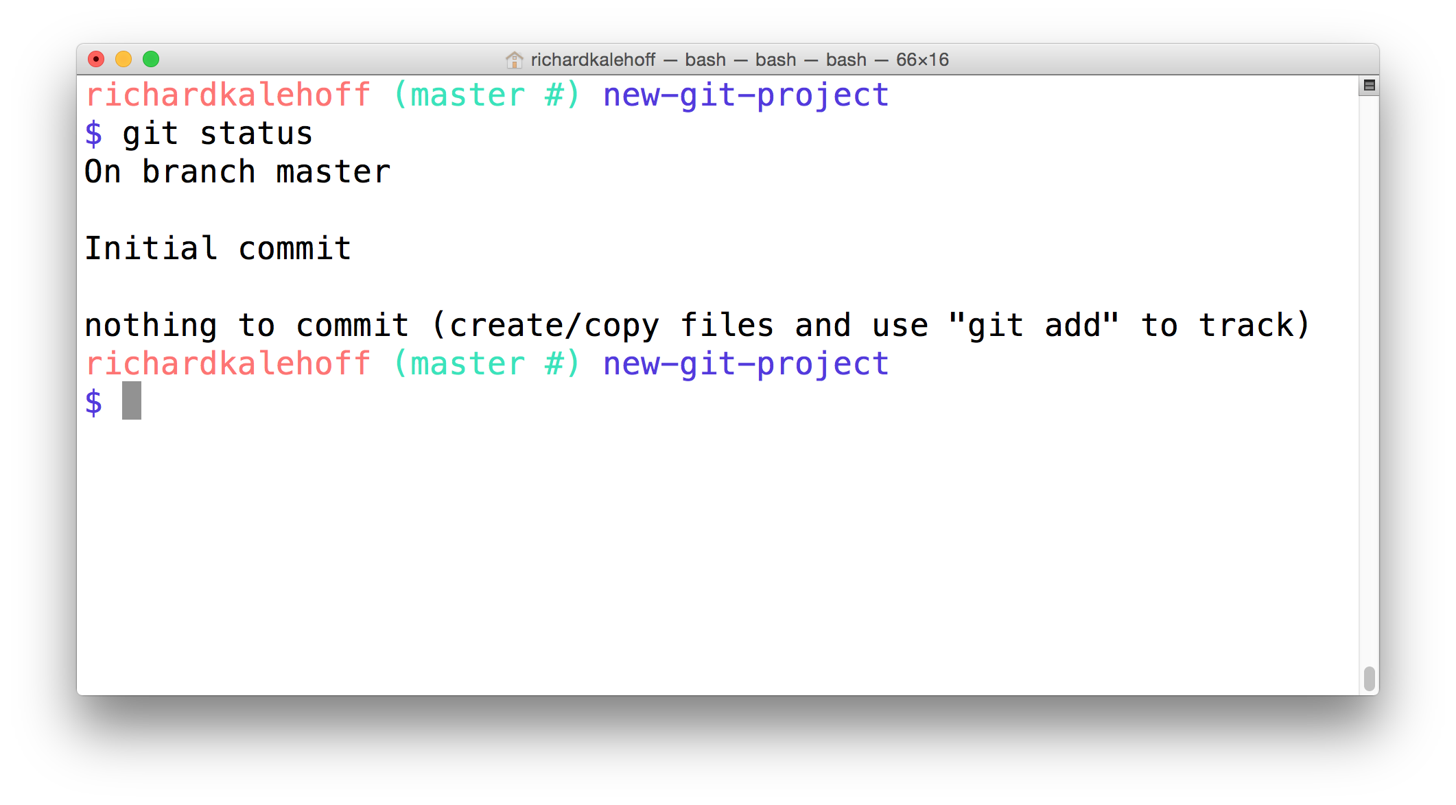 _The Terminal application showing the output of the `git status` command._